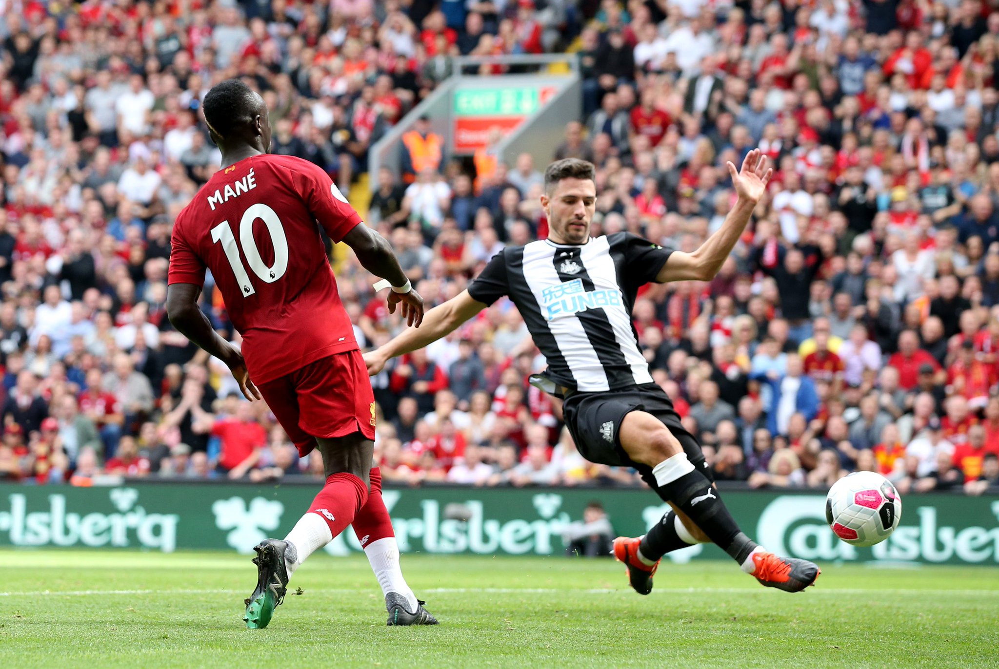 新的情感的 新的情感的